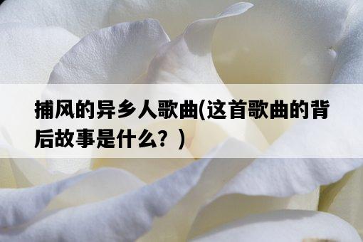 捕風的異鄉人歌曲，這首歌曲的背后故事是什么？-圖1