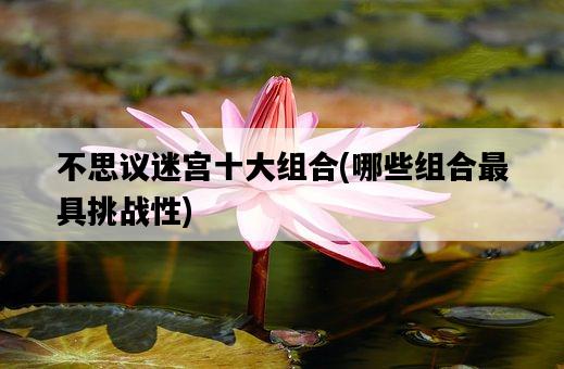 不思議迷宮十大組合,哪些組合最具挑戰性-圖1 不思議迷宮十大組合,哪些組合最具挑戰性-圖1