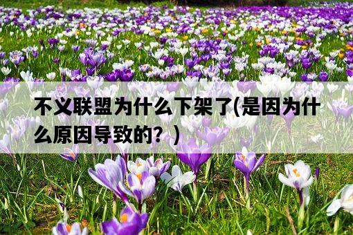 不義聯盟為什么下架了，是因為什么原因導致的？-圖1
