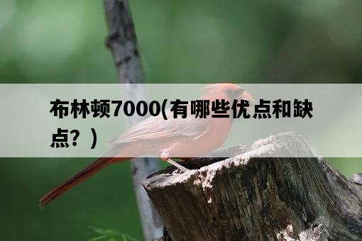 布林頓7000，有哪些優點和缺點？-圖1