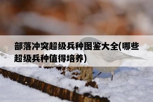 部落沖突超級兵種圖鑒大全，哪些超級兵種值得培養-圖1