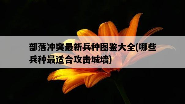 部落沖突最新兵種圖鑒大全，哪些兵種最適合攻擊城墻-圖1