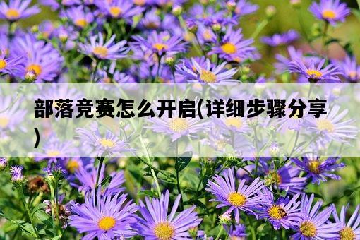 部落競賽怎么開啟，詳細步驟分享-圖1