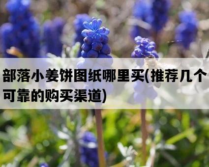 部落小姜餅圖紙哪里買，推薦幾個可靠的購買渠道-圖1