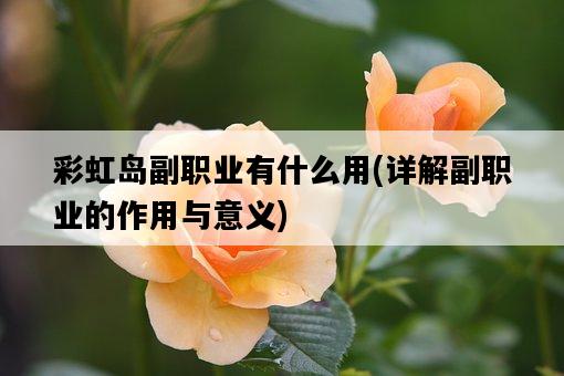 彩虹島副職業有什么用，詳解副職業的作用與意義-圖1