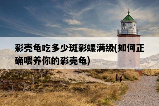 彩殼龜吃多少斑彩螺滿級，如何正確喂養你的彩殼龜-圖1