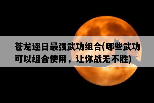 蒼龍逐日最強武功組合，哪些武功可以組合使用，讓你戰無不勝-圖1