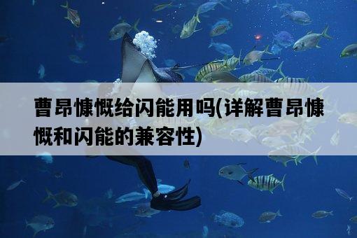 曹昂慷慨給閃能用嗎，詳解曹昂慷慨和閃能的兼容性-圖1
