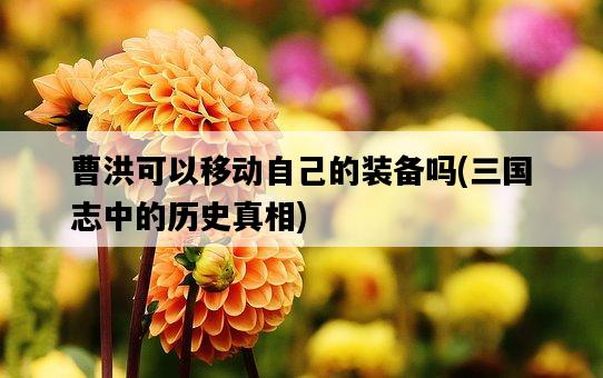 曹洪可以移動自己的裝備嗎，三國志中的歷史真相-圖1