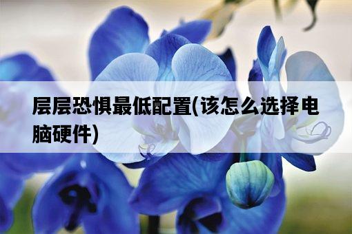 層層恐懼最低配置,該怎么選擇電腦硬件-圖1 層層恐懼最低配置,該怎么選擇電腦硬件-圖1