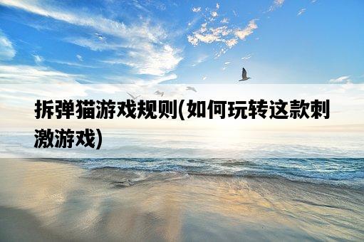 拆彈貓游戲規則，如何玩轉這款刺激游戲-圖1