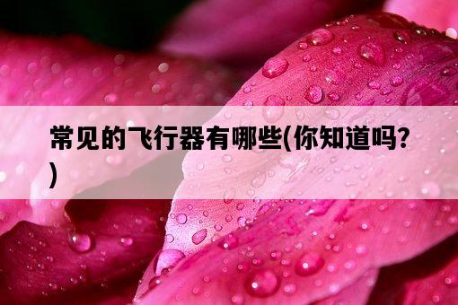 常見的飛行器有哪些，你知道嗎？-圖1