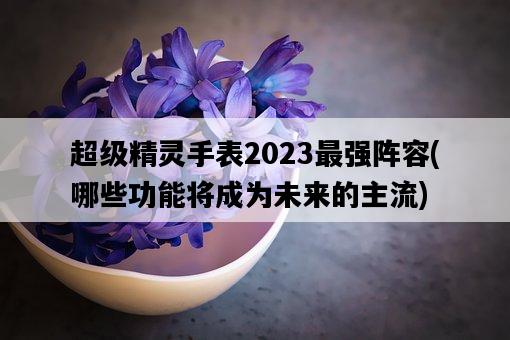 超級精靈手表2023最強陣容，哪些功能將成為未來的主流-圖1
