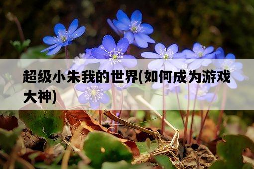 超級小朱我的世界，如何成為游戲大神-圖1