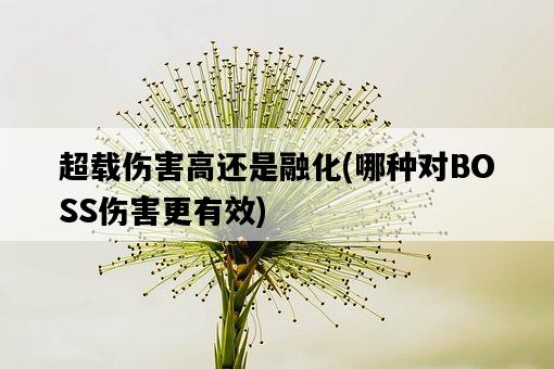 超載傷害高還是融化,哪種對BOSS傷害更有效-圖1 超載傷害高還是融化,哪種對BOSS傷害更有效-圖1