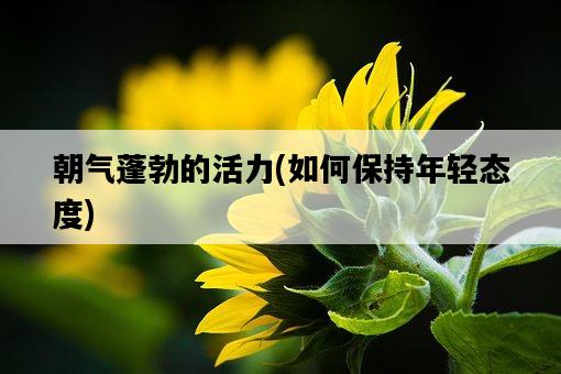 朝氣蓬勃的活力，如何保持年輕態度-圖1