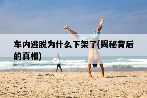車內逃脫為什么下架了,揭秘背后的真相-圖1 車內逃脫為什么下架了,揭秘背后的真相-圖1