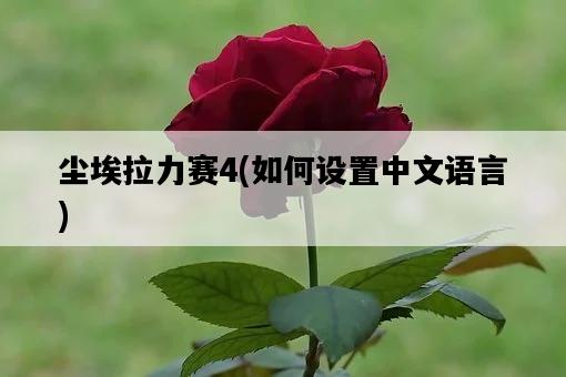 塵埃拉力賽4，如何設置中文語言-圖1