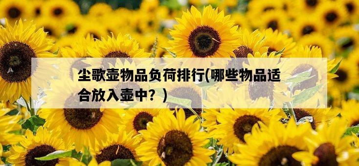 塵歌壺物品負荷排行，哪些物品適合放入壺中？-圖1