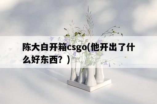 陳大白開箱csgo，他開出了什么好東西？-圖1