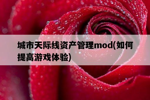 城市天際線資產管理mod，如何提高游戲體驗-圖1
