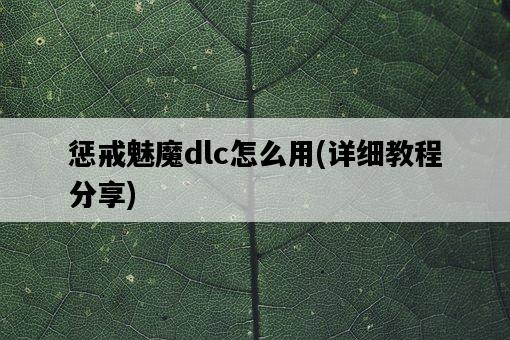 懲戒魅魔dlc怎么用，詳細教程分享-圖1