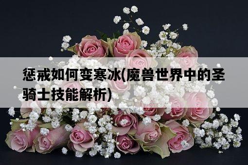 懲戒如何變寒冰，魔獸世界中的圣騎士技能解析-圖1