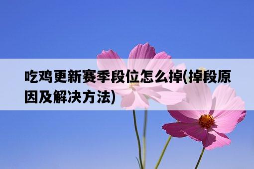吃雞更新賽季段位怎么掉，掉段原因及解決方法-圖1