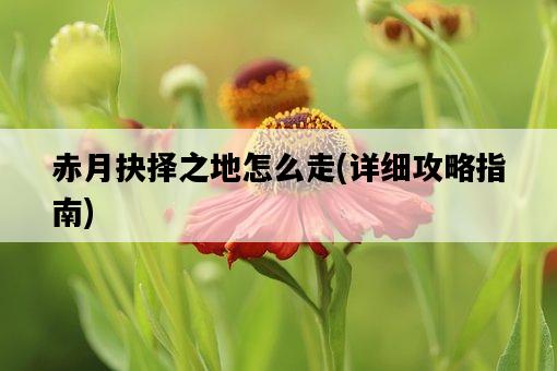 赤月抉擇之地怎么走，詳細攻略指南-圖1