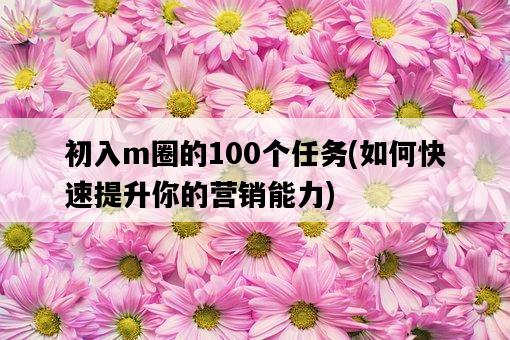 初入m圈的100個任務，如何快速提升你的營銷能力-圖1