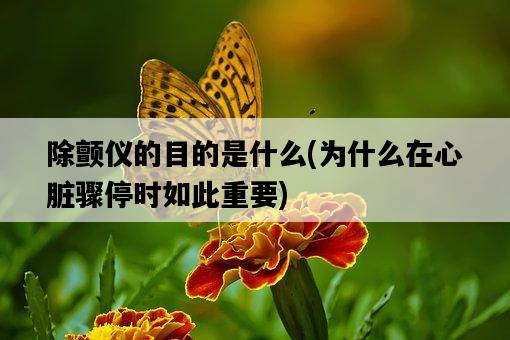 除顫儀的目的是什么，為什么在心臟驟停時如此重要-圖1