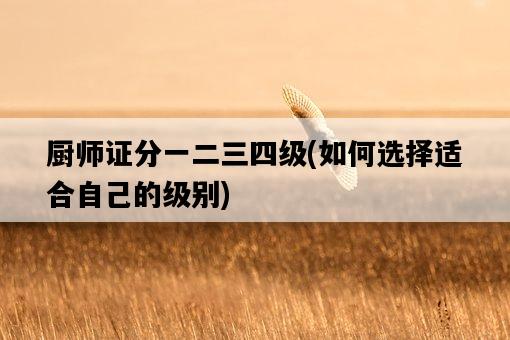 廚師證分一二三四級，如何選擇適合自己的級別-圖1