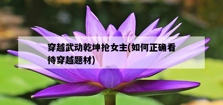穿越武動乾坤搶女主，如何正確看待穿越題材-圖1