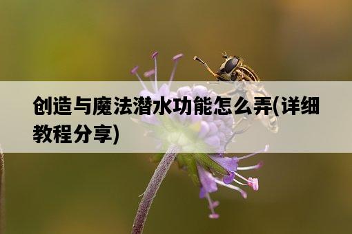 創造與魔法潛水功能怎么弄，詳細教程分享-圖1