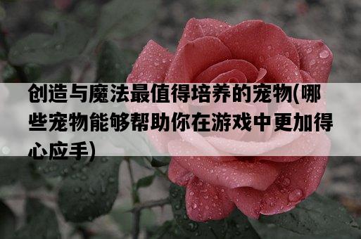 創造與魔法最值得培養的寵物，哪些寵物能夠幫助你在游戲中更加得心應手-圖1