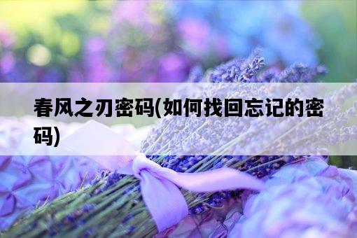 春風之刃密碼，如何找回忘記的密碼-圖1