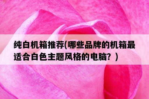 純白機箱推薦，哪些品牌的機箱最適合白色主題風格的電腦？-圖1