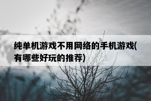 純單機游戲不用網絡的手機游戲，有哪些好玩的推薦-圖1