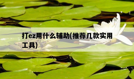打ez用什么輔助，推薦幾款實用工具-圖1