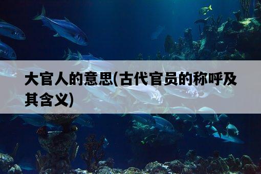 大官人的意思，古代官員的稱呼及其含義-圖1