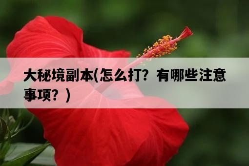 大秘境副本，怎么打？有哪些注意事項？-圖1