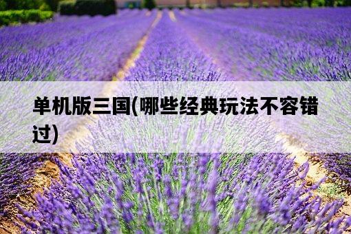 單機版三國,哪些經典玩法不容錯過-圖1 單機版三國,哪些經典玩法不容錯過-圖1