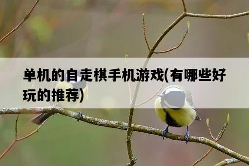 單機的自走棋手機游戲，有哪些好玩的推薦-圖1