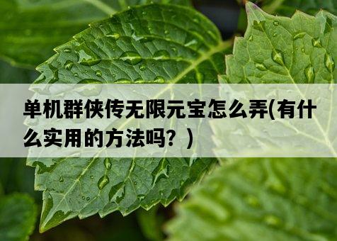 單機群俠傳無限元寶怎么弄,有什么實用的方法嗎?-圖1 單機群俠傳無限元寶怎么弄,有什么實用的方法嗎?-圖1
