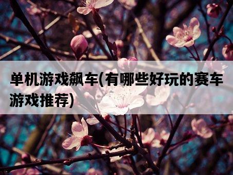 單機游戲飆車,有哪些好玩的賽車游戲推薦-圖1 單機游戲飆車,有哪些好玩的賽車游戲推薦-圖1