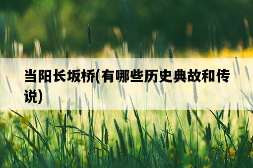 當陽長坂橋，有哪些歷史典故和傳說-圖1