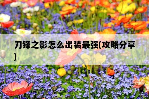 刀鋒之影怎么出裝最強，攻略分享-圖1