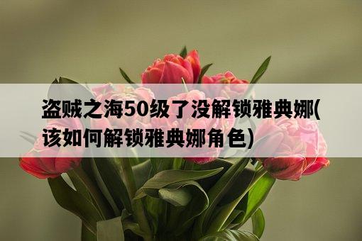 盜賊之海50級了沒解鎖雅典娜，該如何解鎖雅典娜角色-圖1