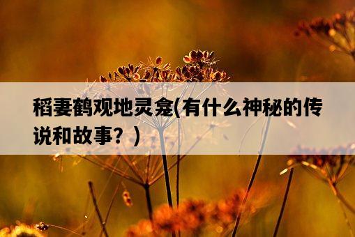 稻妻鶴觀地靈龕,有什么神秘的傳說和故事?-圖1 稻妻鶴觀地靈龕,有什么神秘的傳說和故事?-圖1