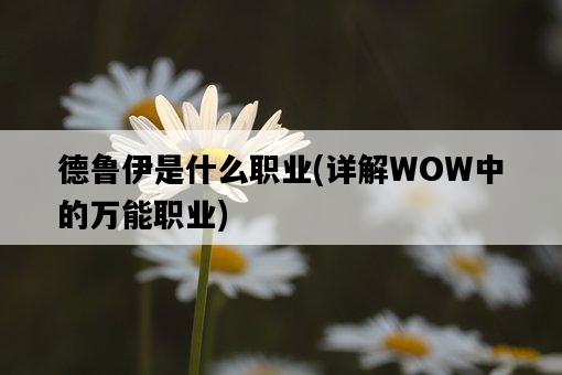 德魯伊是什么職業,詳解WOW中的萬能職業-圖1 德魯伊是什么職業,詳解WOW中的萬能職業-圖1